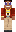 skin of a player
