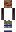 skin of a player