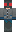 skin of a player