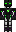 skin of a player
