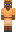 skin of a player