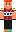 skin of a player