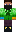 skin of a player