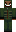 skin of a player