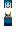 skin of a player