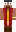 skin of a player