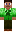 skin of a player