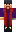 skin of a player
