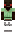 skin of a player