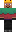 skin of a player