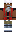 skin of a player