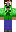skin of a player