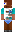 skin of a player