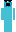 skin of a player