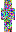 skin of a player