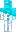 skin of a player