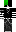 skin of a player