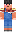 skin of a player