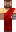 skin of a player