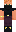 skin of a player