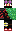 skin of a player