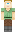 skin of a player