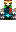 skin of a player