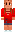 skin of a player
