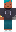 skin of a player