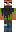 skin of a player