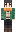 skin of a player