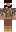skin of a player