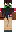 skin of a player