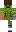 skin of a player