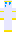 skin of a player