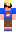 skin of a player