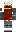 skin of a player