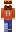 skin of a player