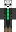 skin of a player