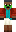 skin of a player