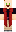 skin of a player
