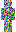 skin of a player