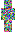 skin of a player
