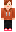 skin of a player