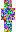 skin of a player