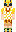 skin of a player