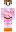 skin of a player