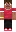 skin of a player