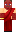 skin of a player