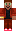 skin of a player